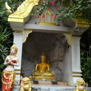 DSC02232