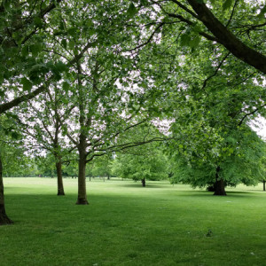 UK (2)