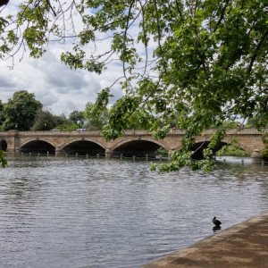 UK (4)