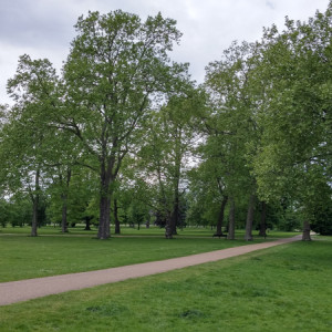UK (5)