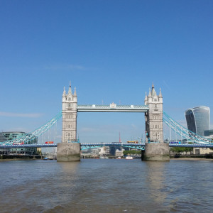 UK (17)