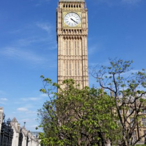 UK (38)