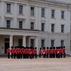 UK (47)