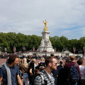 UK (48)