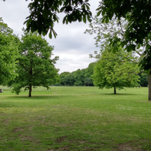 UK (57)