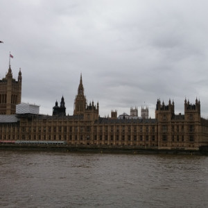 UK (73)