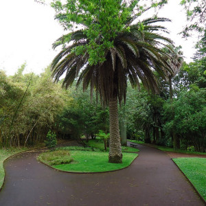São Miguel00004