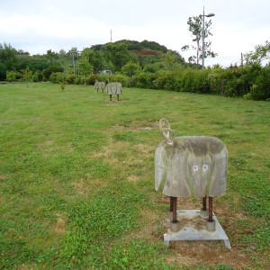 São Miguel00013