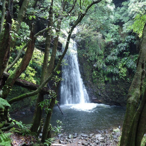 São Miguel00016