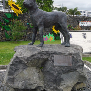 São Miguel00021