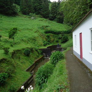 São Miguel00032