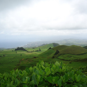 São Miguel00037