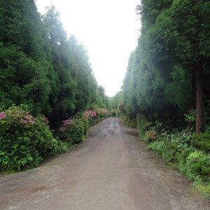 São Miguel00042