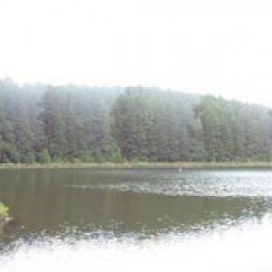 São Miguel00043
