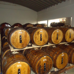 São Miguel00050