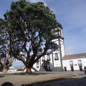 São Miguel00052