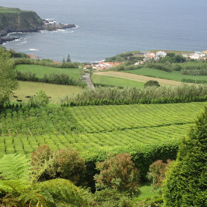 São Miguel00059