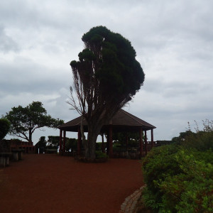 São Miguel00066