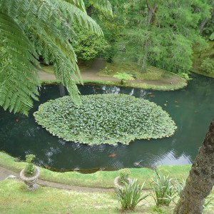 São Miguel00074