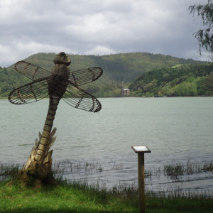 São Miguel00080