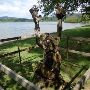 São Miguel00081
