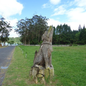 São Miguel00082