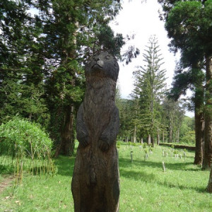 São Miguel00084