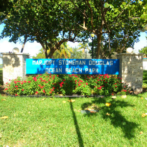 DSC05003