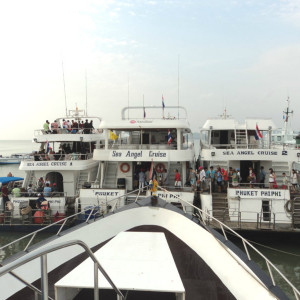 DSC02429