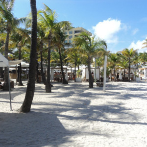 DSC05004