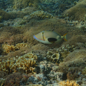 P6110124