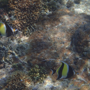 P6141450