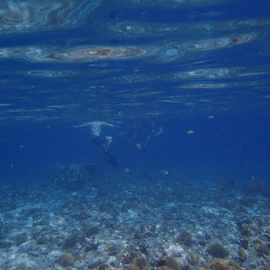 P6141543