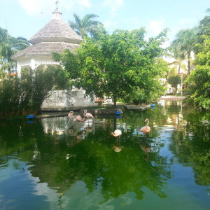 20150621_083800