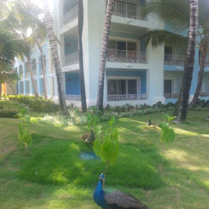20150622_083829