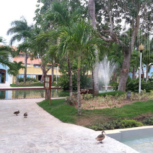 20150617_174605
