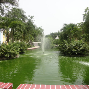 DSC03659