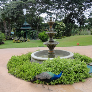 DSC03934