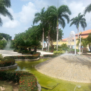 20150618_104109