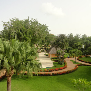 DSC03585