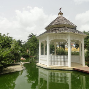 DSC03662