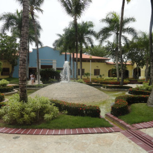 DSC03646