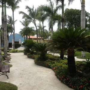 DSC03645