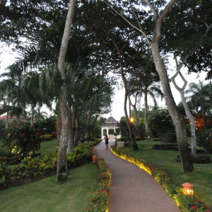DSC03871
