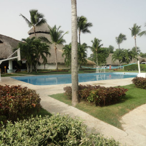 DSC03594