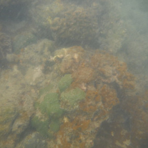 DSCF2510