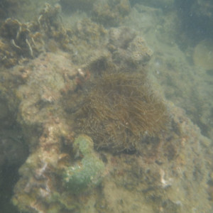 DSCF2512