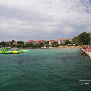 Signed_IMG_0767