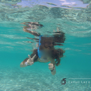 SignedGOPR0449