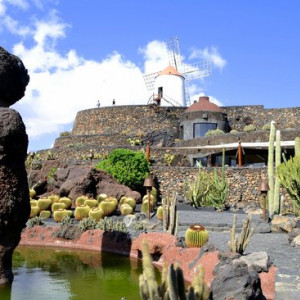 Jardin-de-cactus